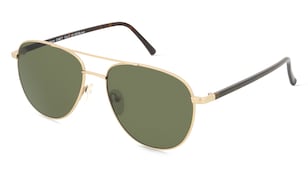 variant 2815 / Fielmann MC 581 SUN CL DARCY / Gold Havanna