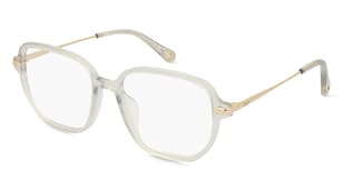 variant 14593 / Chloé CH0218OA / Grau Gold