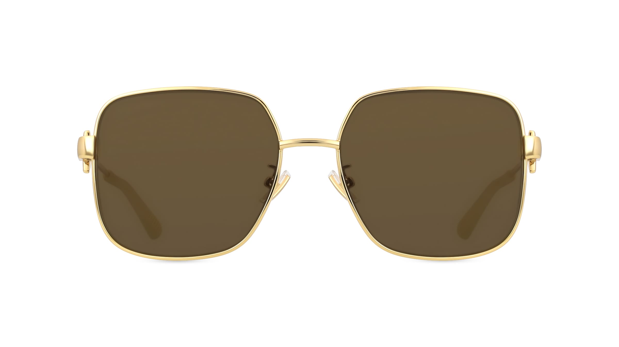 Bottega Veneta BV1199S