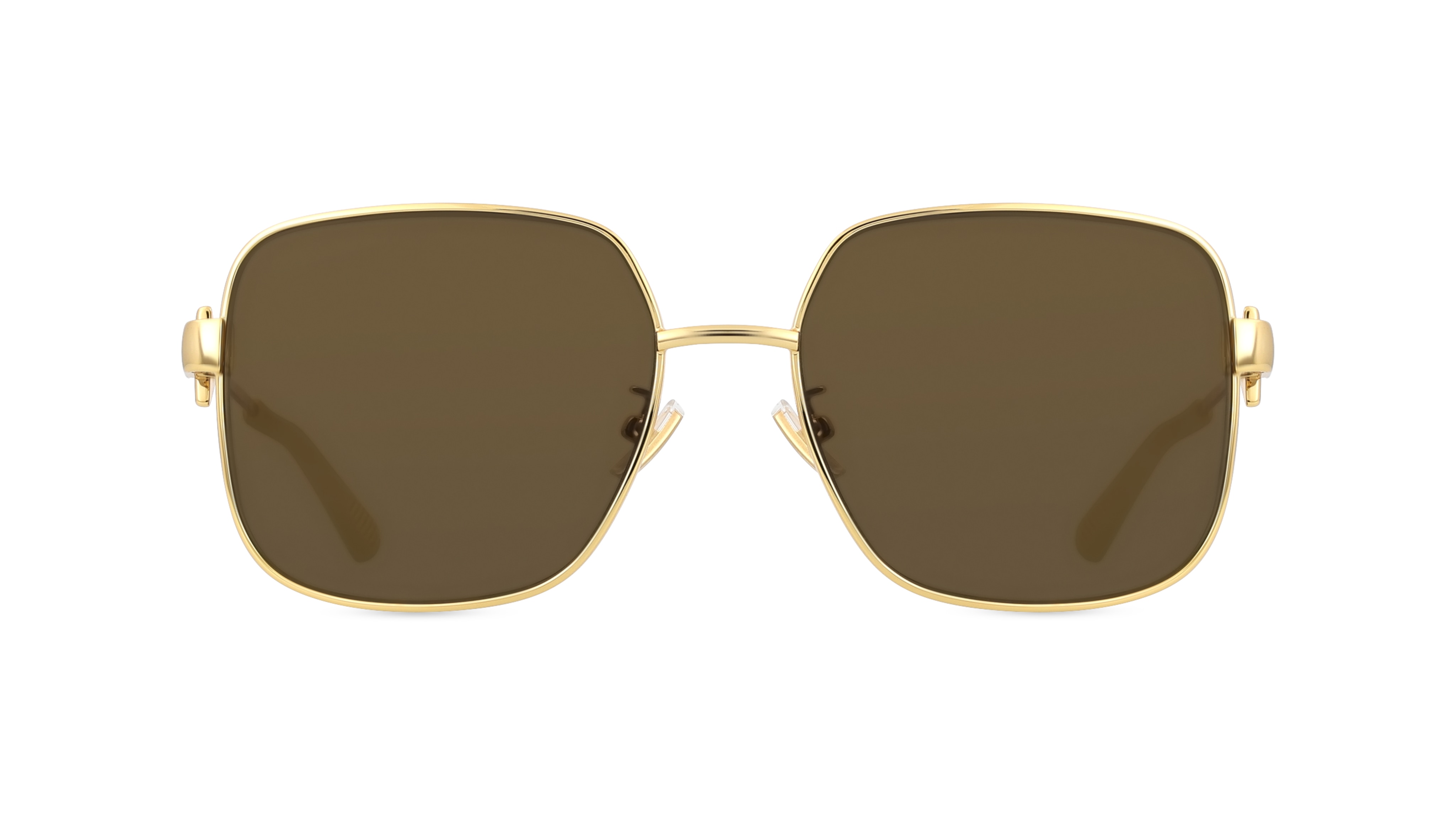 Bottega Veneta BV1199S