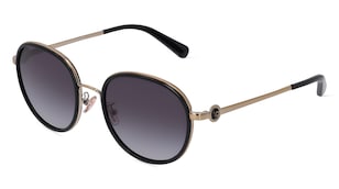 variant 11476 / Coach HC7129 / Schwarz