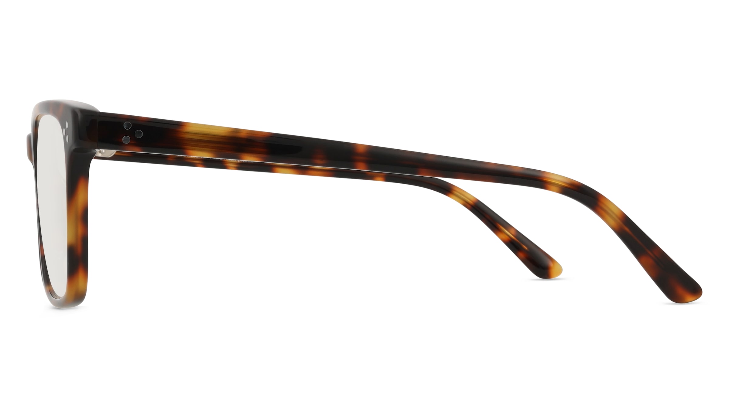 Fielmann Q 075 CL HUNTER