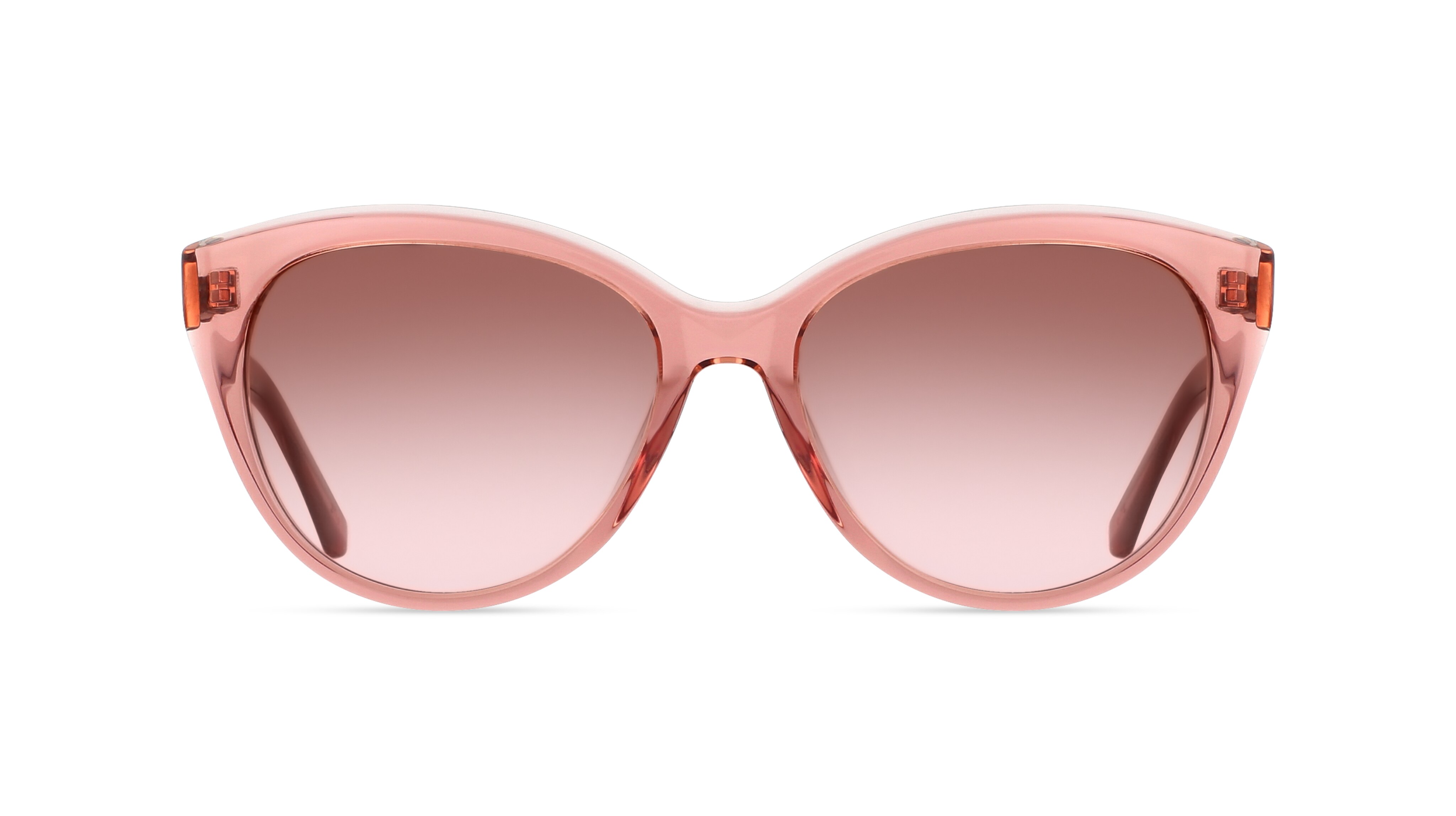 Calvin Klein CK22520S