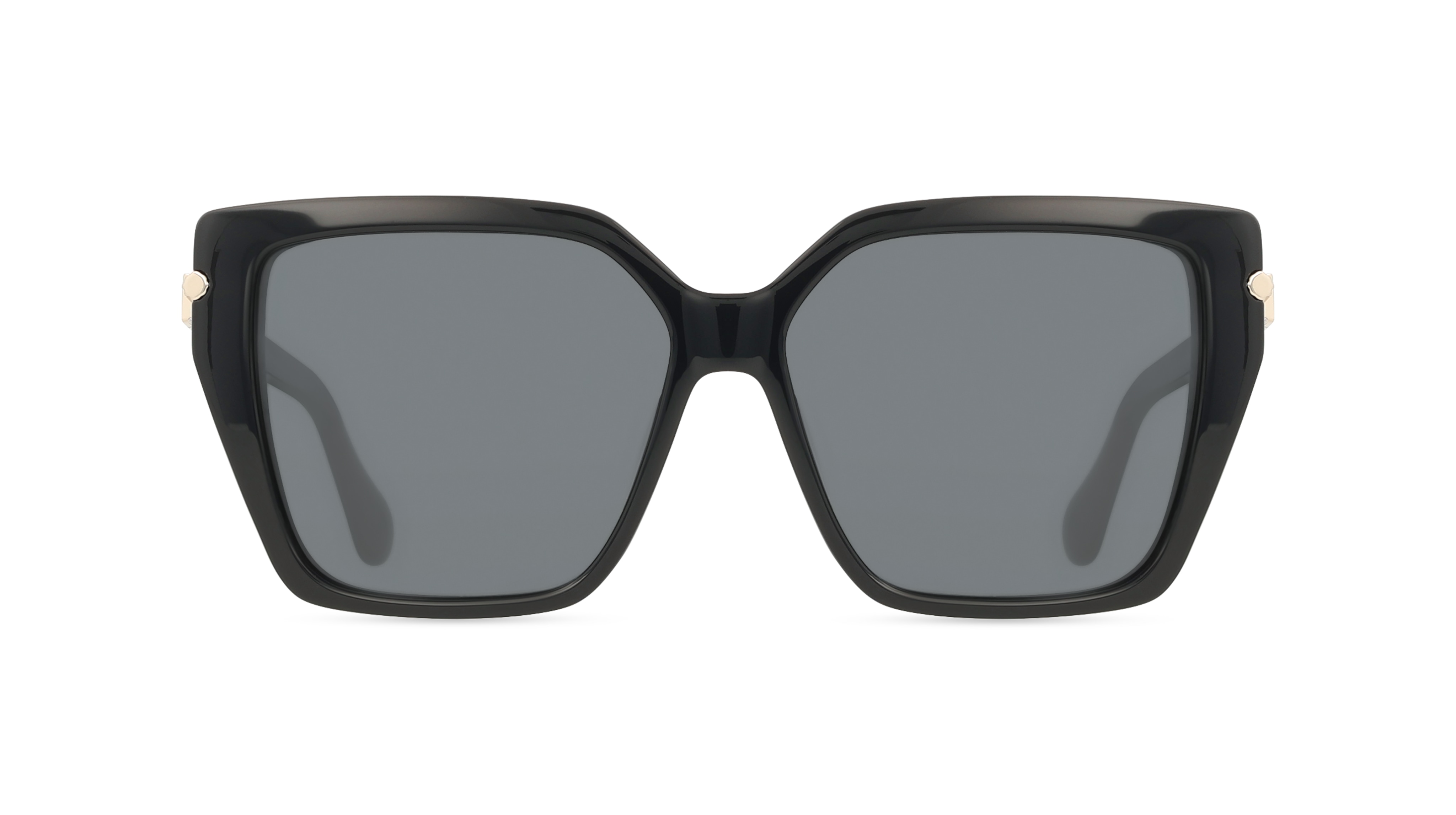 Ferragamo SF1106S