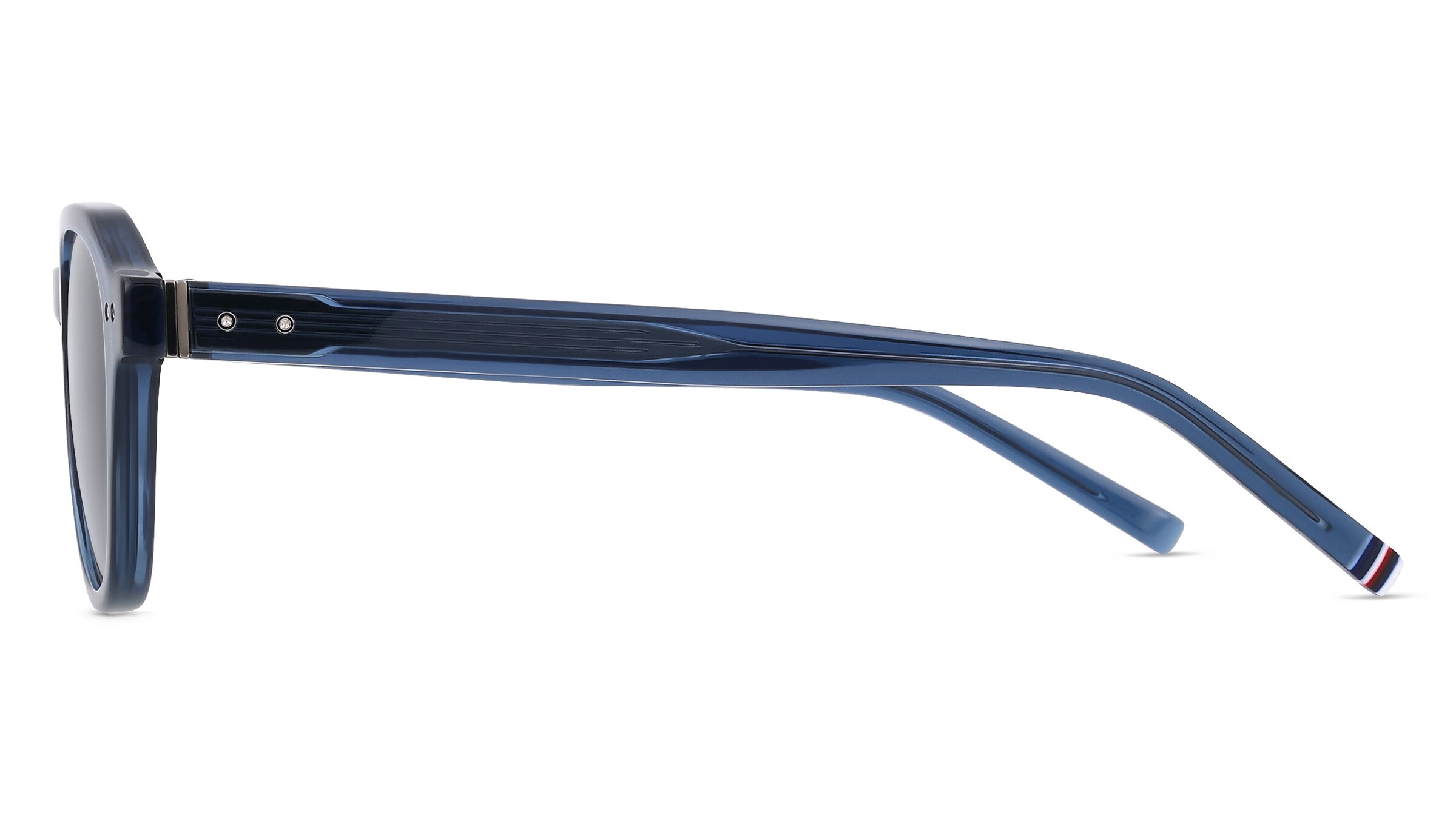 Tommy Hilfiger Eyewear TH 1970/S