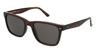 variant 2381 / Fielmann MC 561 SUN CL VINCENT / Havanna Brillant