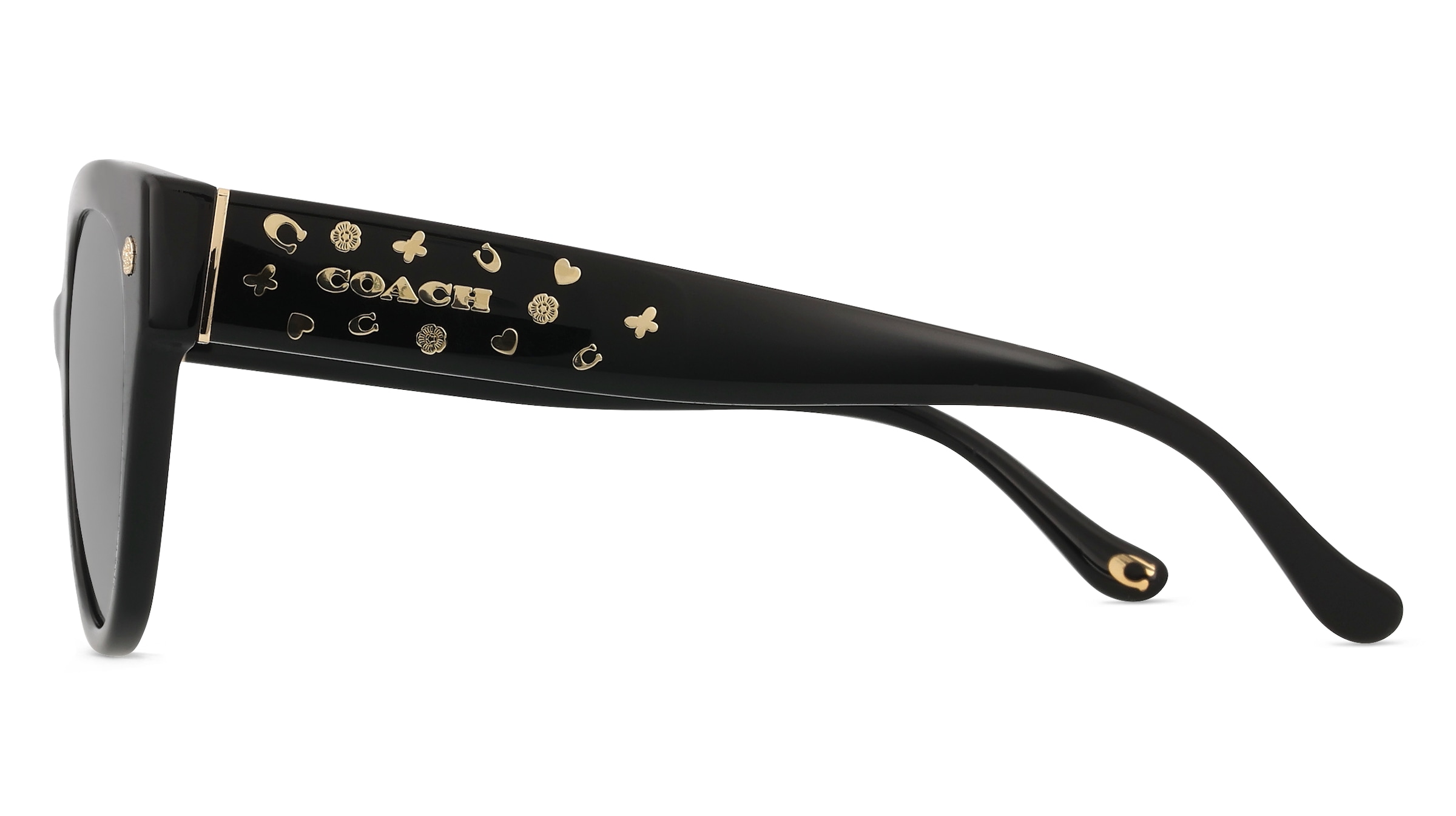 Coach 0HC8393U CR612