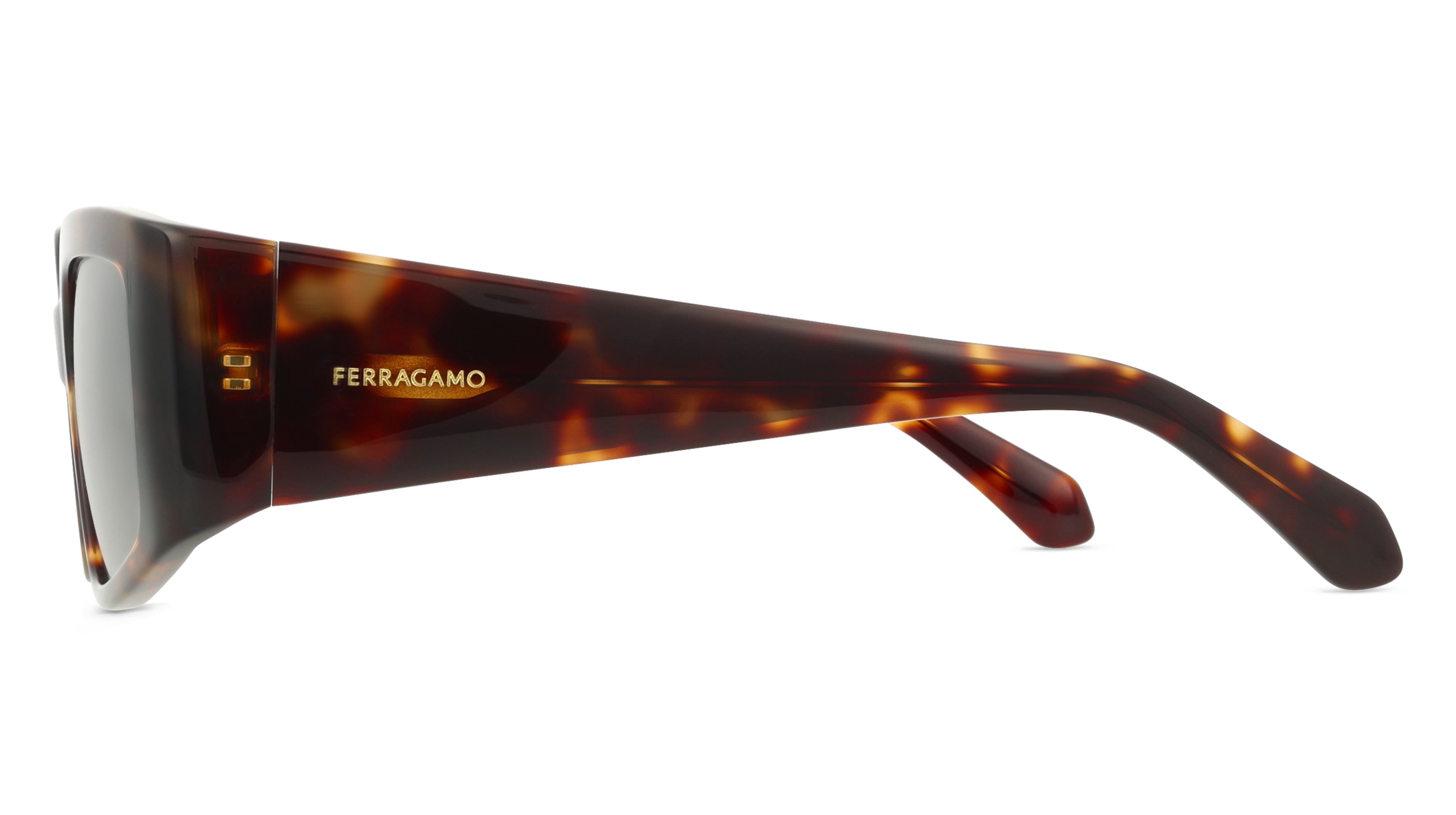 Ferragamo SF1101S