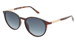 variant 25730 / Calvin Klein CK24539S / Avana Scuro