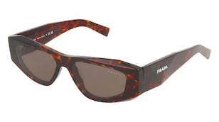 variant 30536 / Prada 0PR B19S / Braun Orange