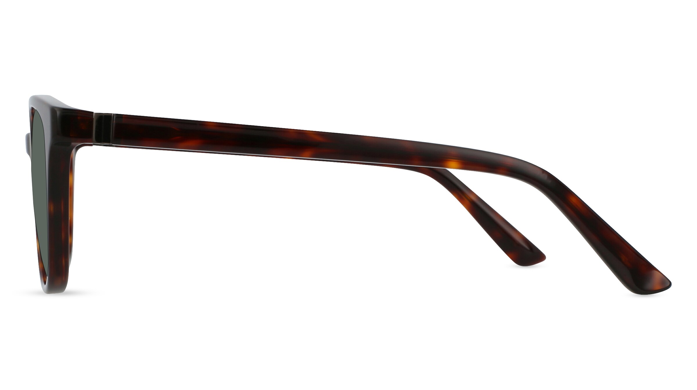 Fielmann LN 020 SUN CL