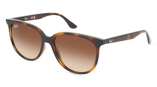 variant 6649 / Ray-Ban RB4378 / Havanna