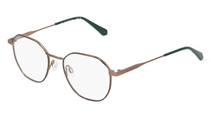 variant 14922 / Calvin Klein Jeans CKJ22220 / Verde Marrone