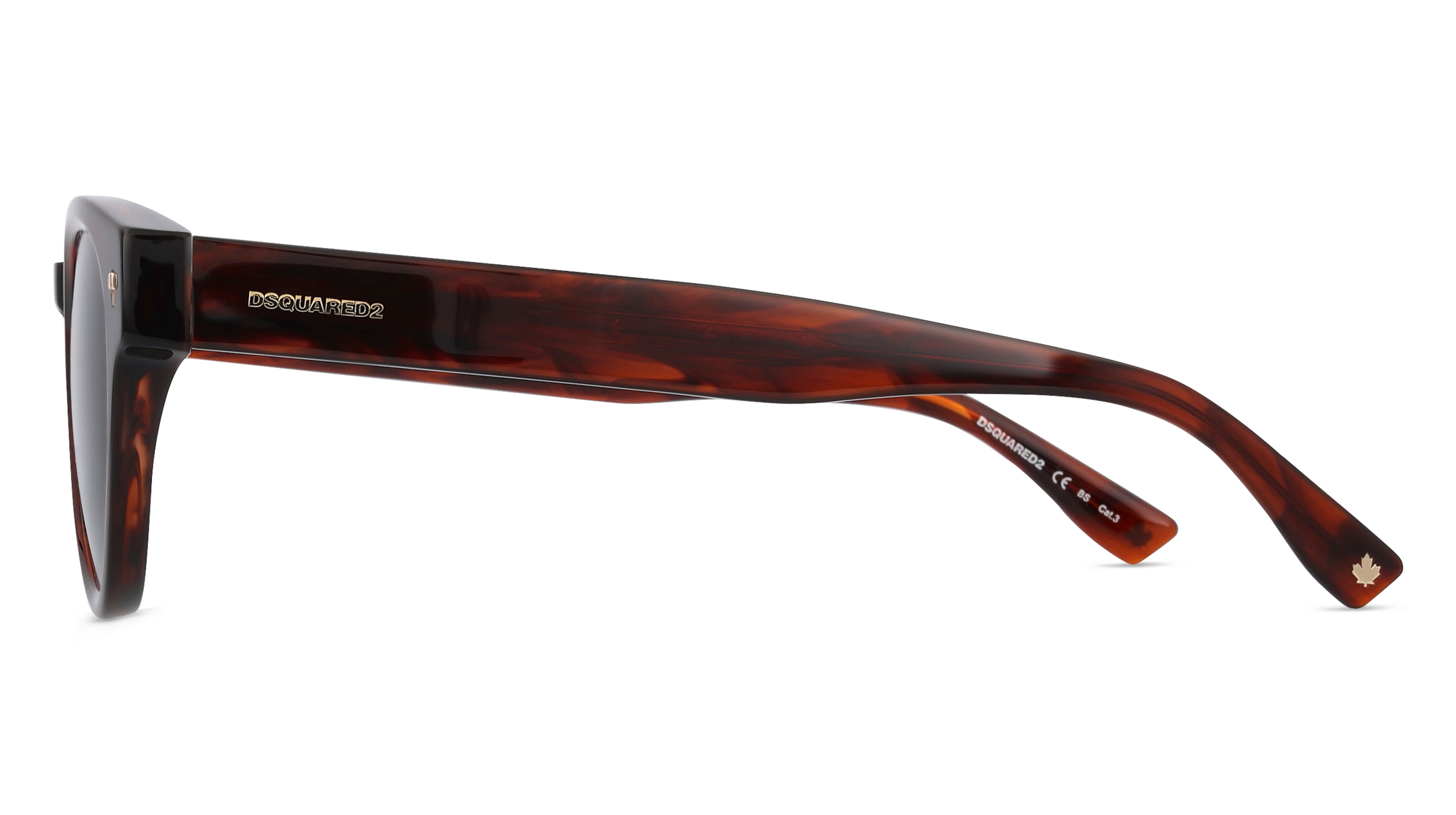 Dsquared2 D2 0077/S