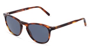 variant 6466 / Polo by Ralph Lauren PH4181 / Havanna Glänzend