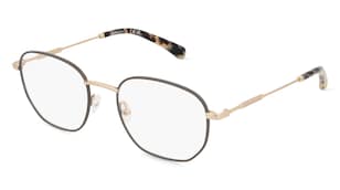 variant 21198 / Calvin Klein Jeans CKJ20101 / Havanna Gold