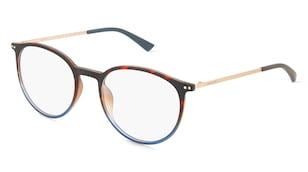 variant 26837 / Jaguar 6827 / Braun