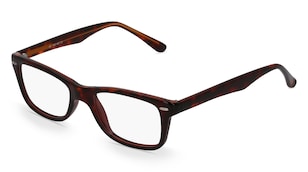 variant 3377 / Fielmann MC 467 CL / Havanna
