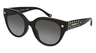 variant 20259 / Coach 0HC8393U CR612 / Noir