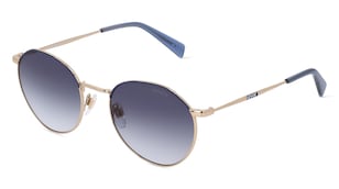 variant 10699 / Levi's LV 1028/S / Gold Silber