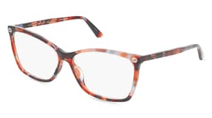variant 25701 / Gucci GG0025O / Hawana