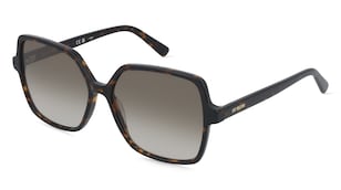 variant 31502 / Love Moschino MOL102/S / Havane Havane