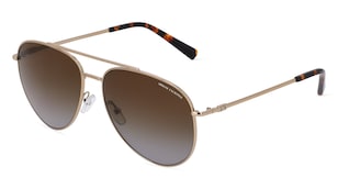 variant 10220 / Armani Exchange AX2043S / Zlatá Lesklá