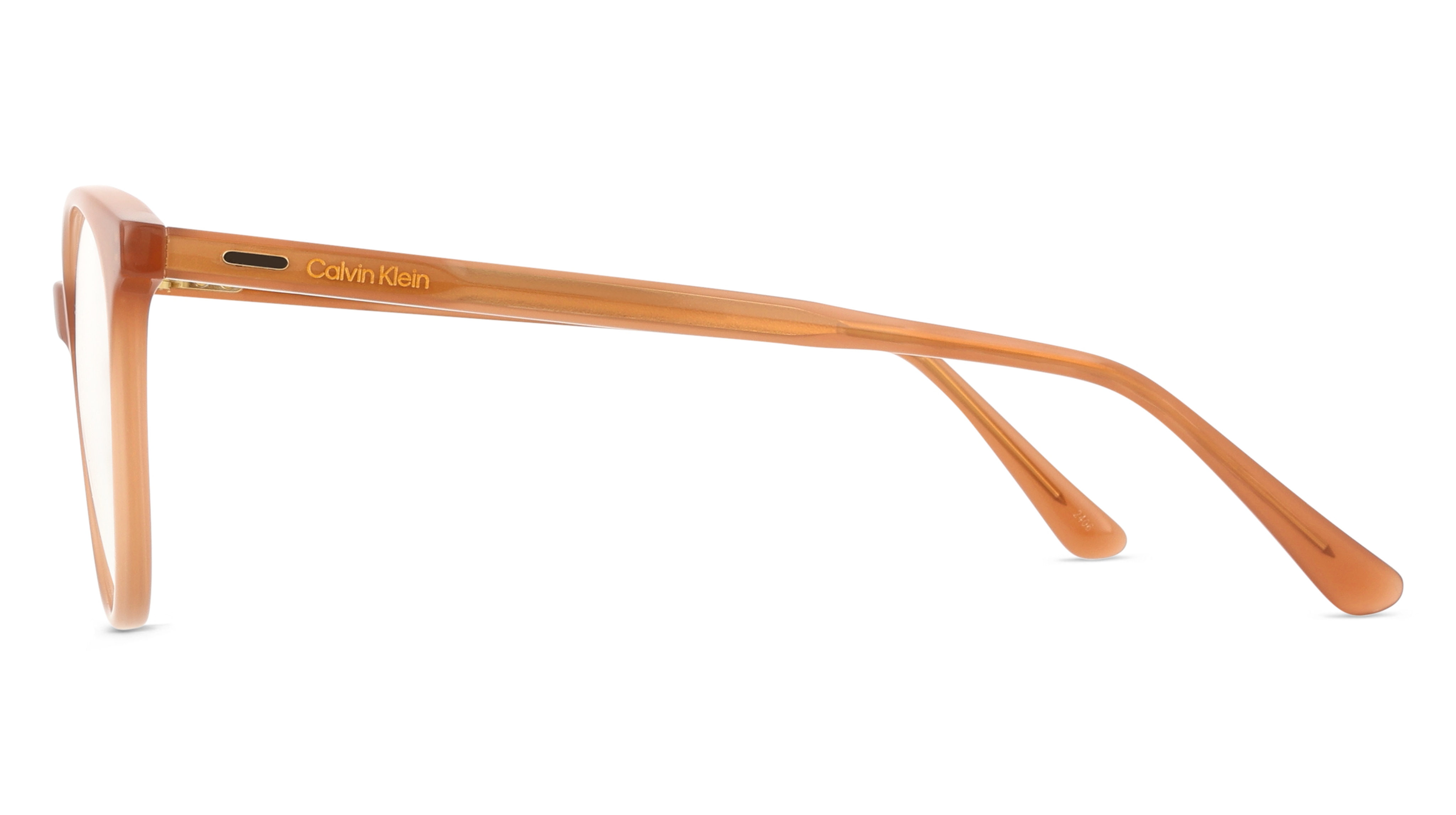 Calvin Klein CK24543