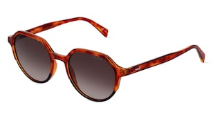 variant 10681 / Levi's LV 5023/S / Havanna Schwarz