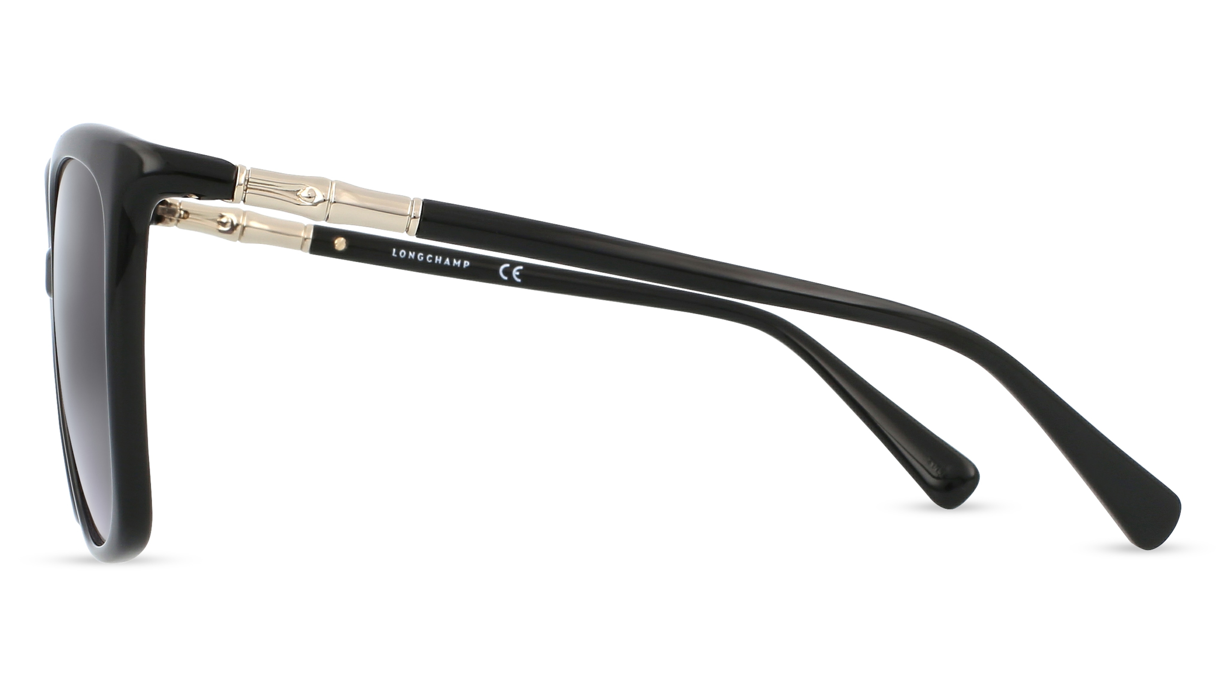 Longchamp LO710S