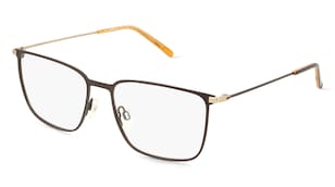 variant 15311 / Fielmann 2217 CL / Hnědá Zlatá