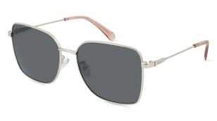 variant 18179 / Polaroid PLD 4158/G/S/X / Silber