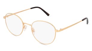 variant 2532 / Fielmann OU 001 CL / Giallo Oro