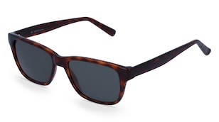 variant 3241 / Fielmann INTER 2201 SUN FA / Havanna