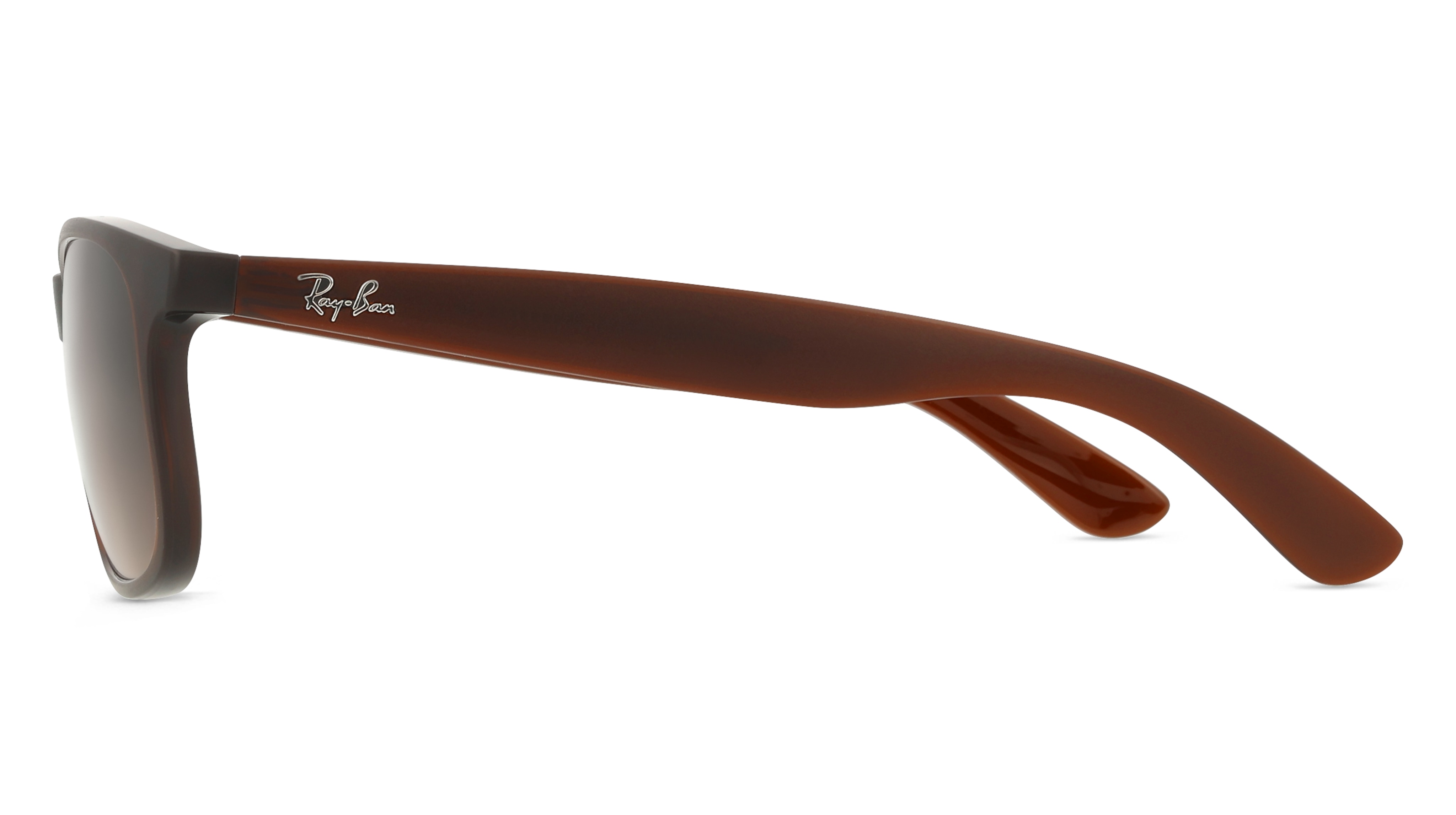 Ray-Ban RB4202 ANDY