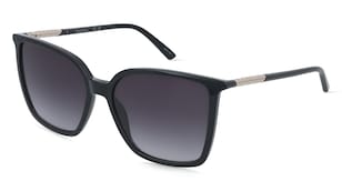 variant 31272 / Calvin Klein CK26502S / Schwarz