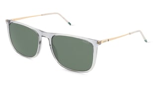 variant 27213 / Hugo 207437 / Grau Gold