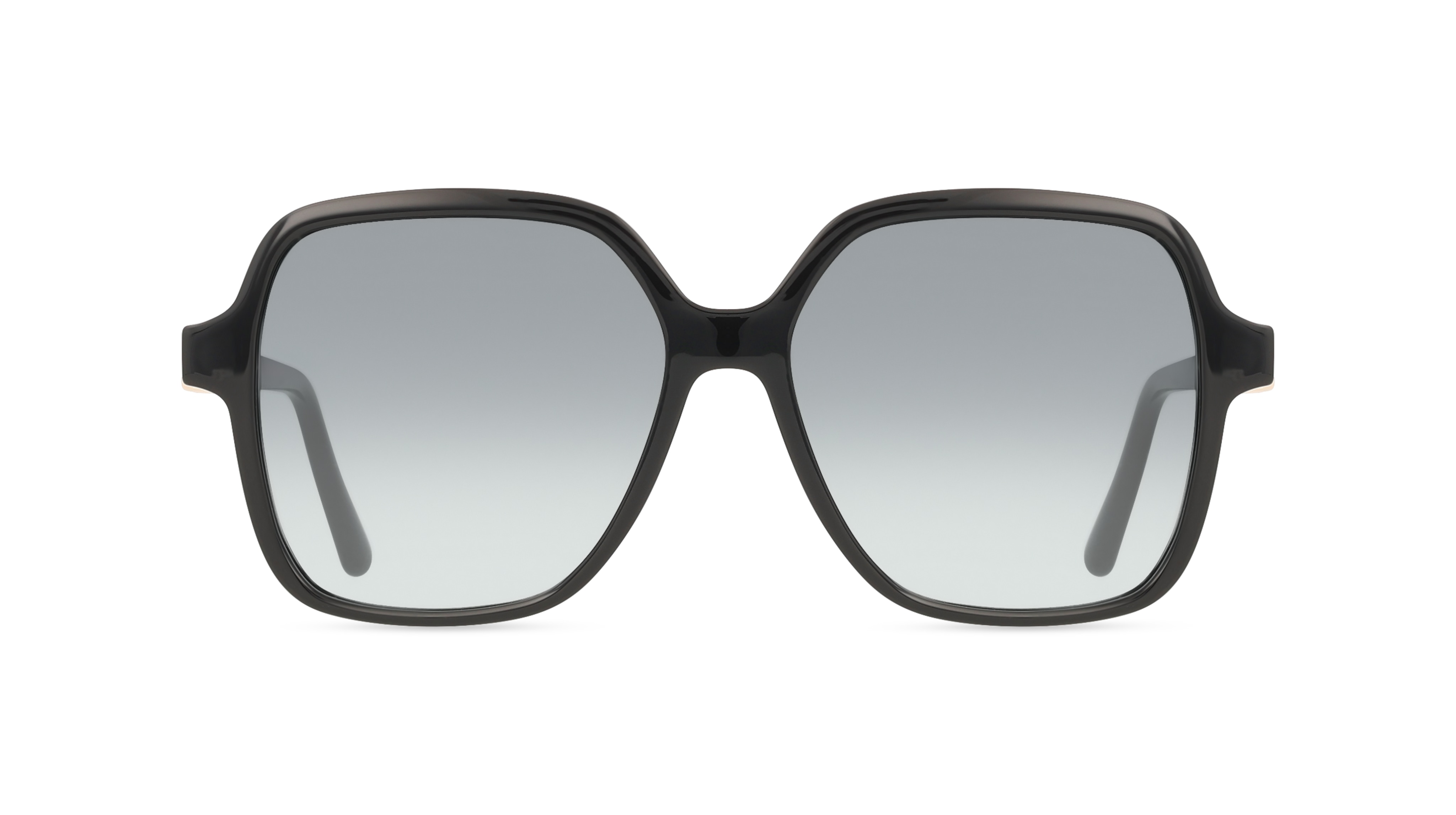 Ferragamo SF1083S