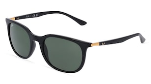 variant 10254 / Ray-Ban RB4386 / Schwarz
