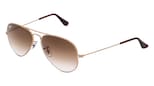 variant 6842 / Ray-Ban RB 3025 AVIATOR / Gold