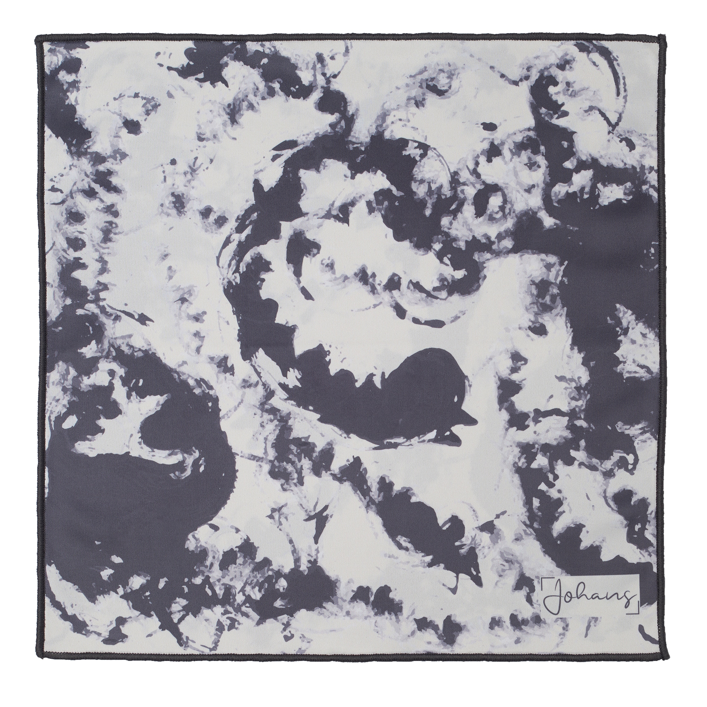 Johans Panno per la pulizia degli occhiali Dust