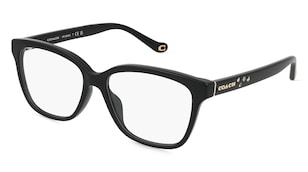 variant 20226 / Coach 0HC6242U / Czarny