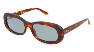 variant 30687 / Ray-Ban 0RB2221 / Havanna Pruhovaná