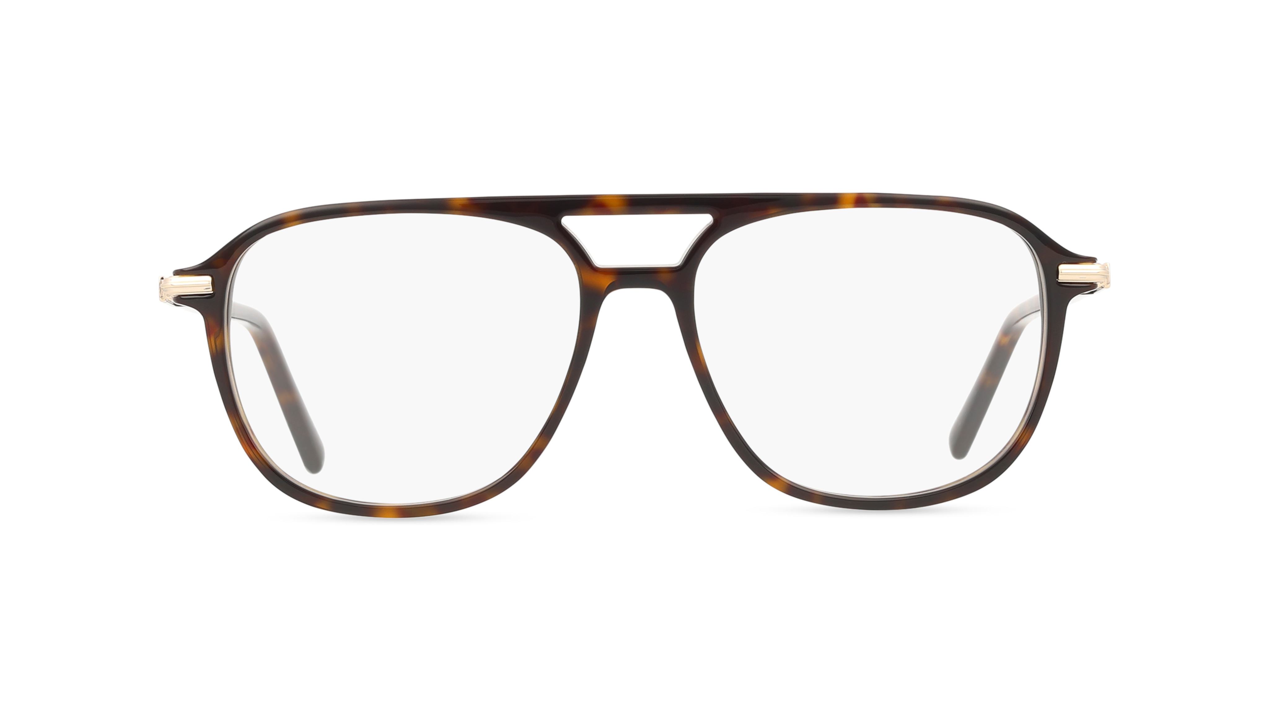 Ferragamo SF3006