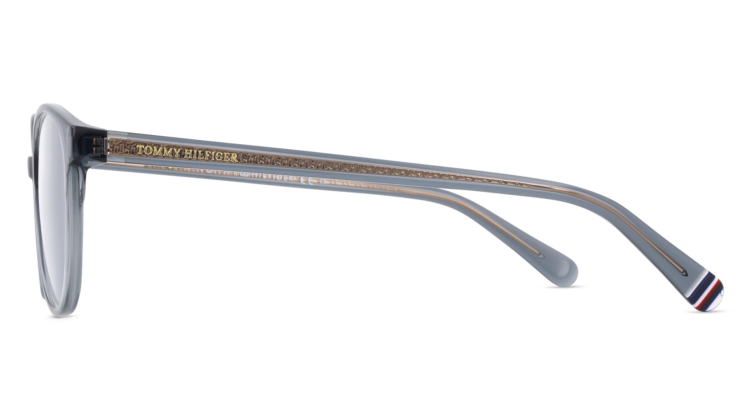 Tommy Hilfiger Eyewear TH 1969