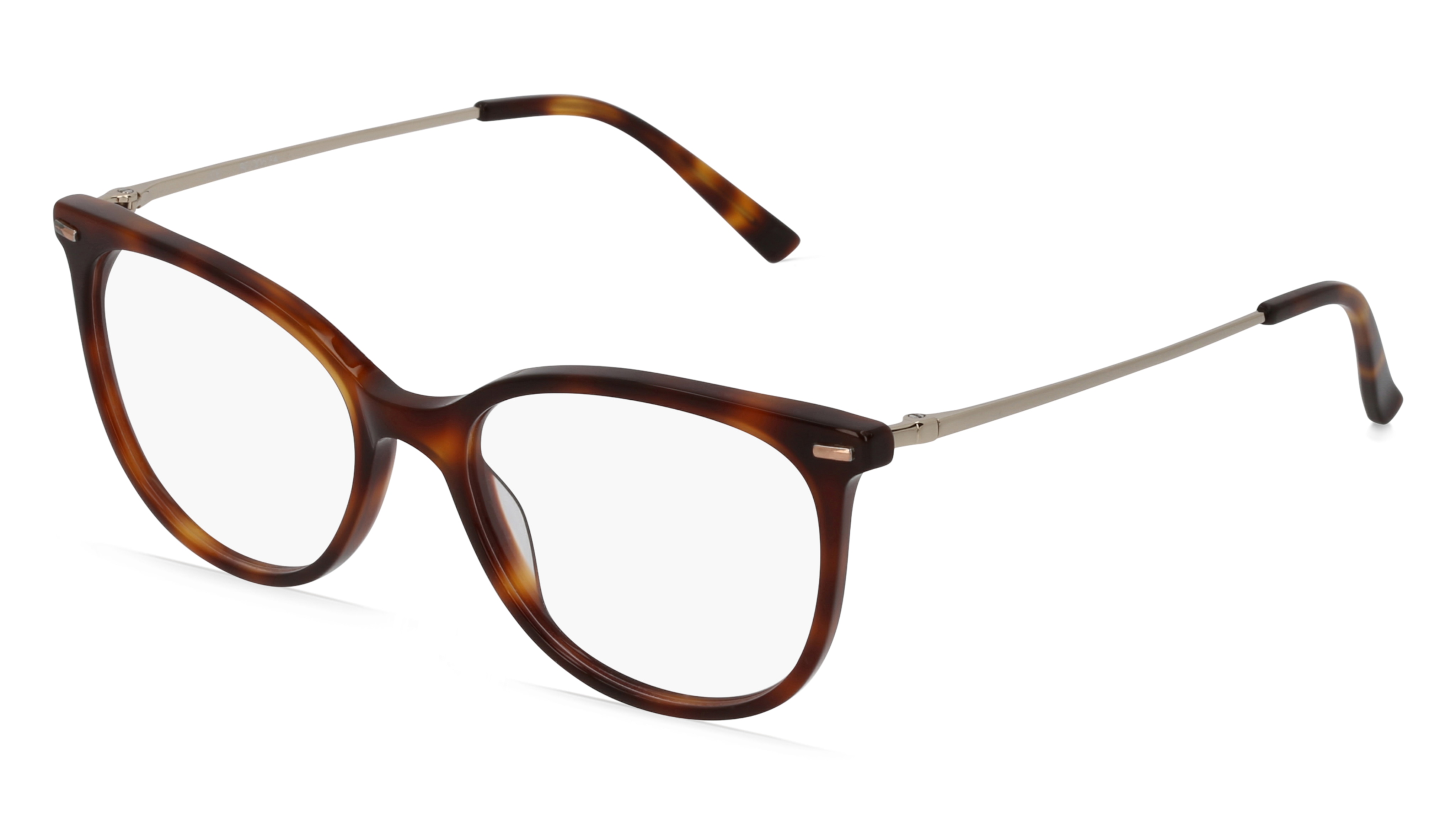 Fielmann BE 006 FA