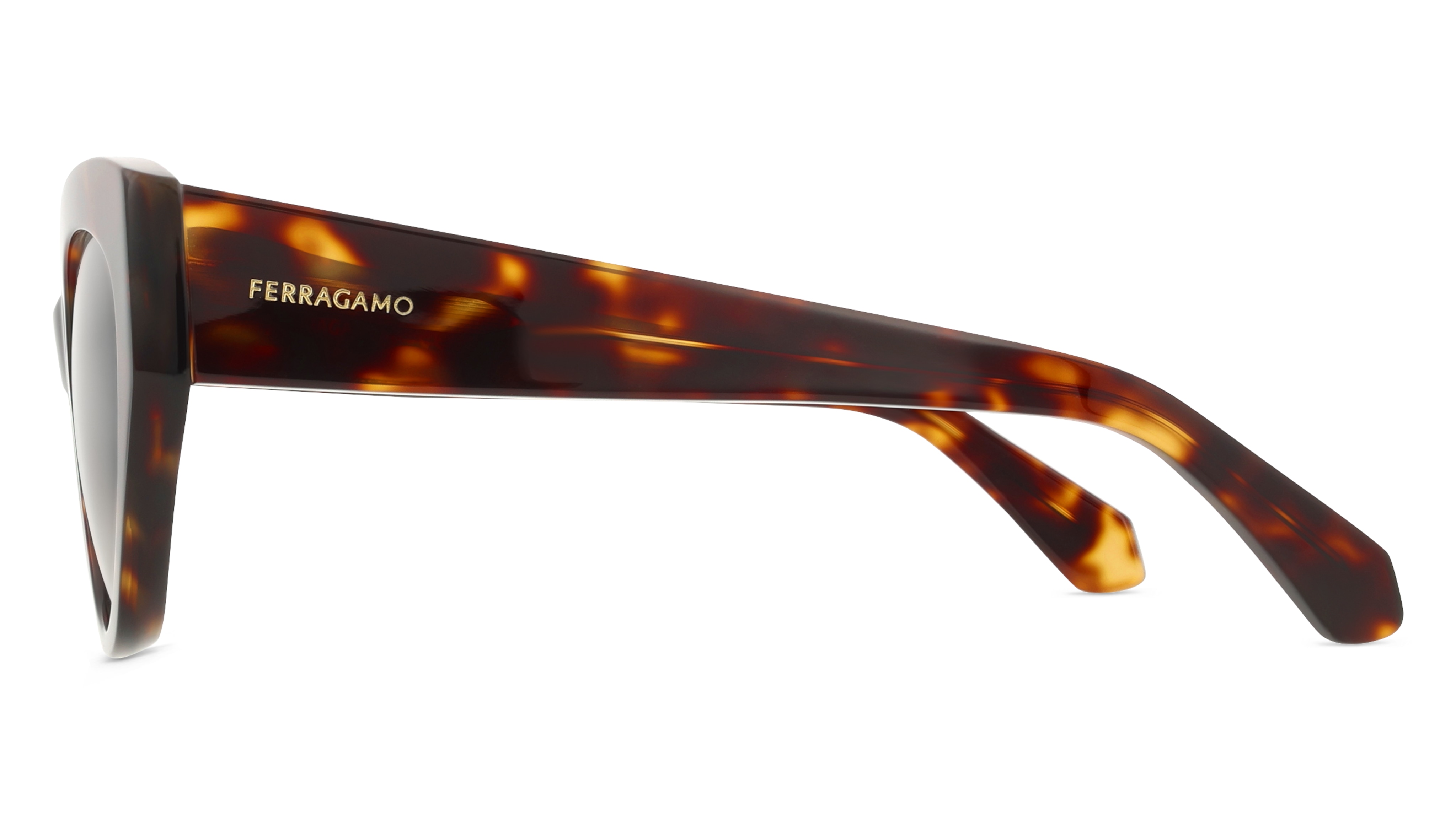 Ferragamo SF1107S