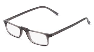 variant 2492 / Fielmann BD 495 CL / Gris