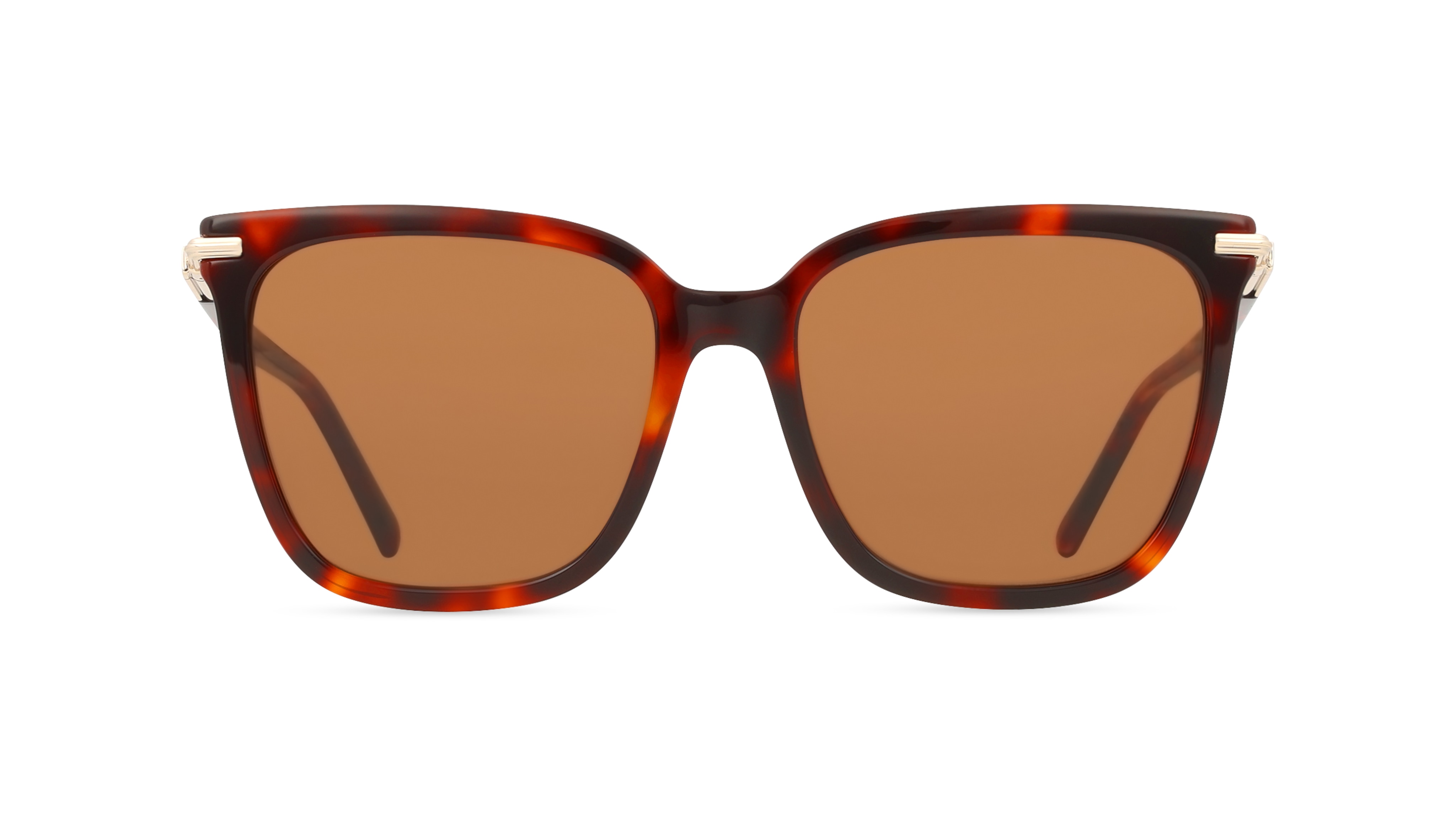 Ferragamo SF2037S