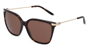 variant 10226 / Polo by Ralph Lauren RL8209 / Havanna Glänzend